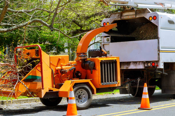 Best Leaf Removal  in The Galena Territory, IL